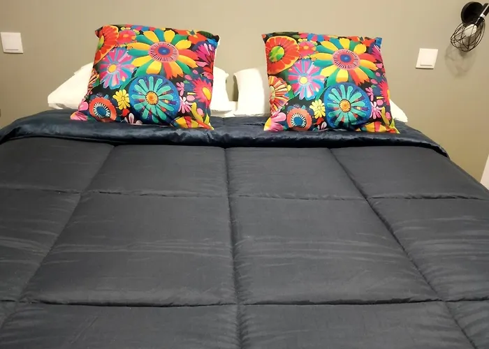 Ria View בית הארחה אבאירו